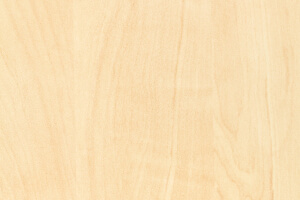 Birch wood with light yellow color and straight grain patterns