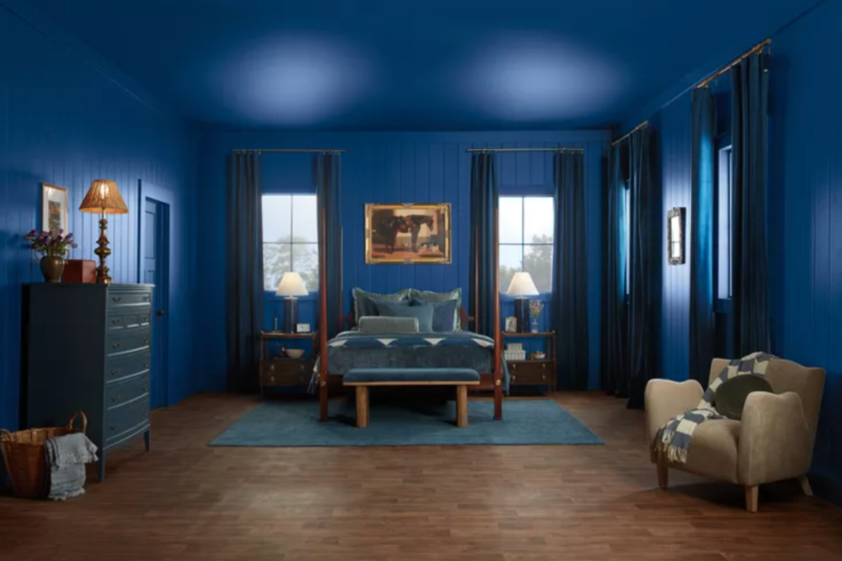 Vibrant navy blue wall paint for 2025 color of the year