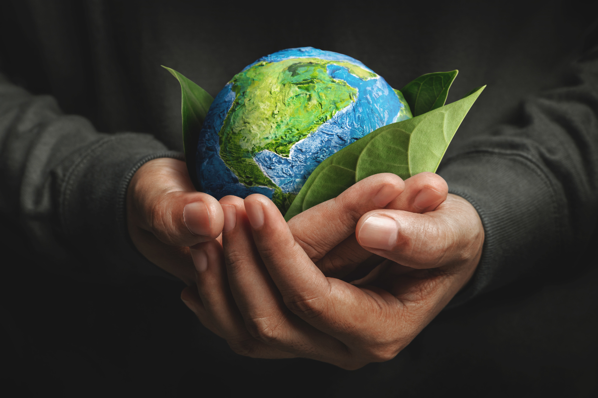 Man with black shirt on holding a paper world in his hand surrounded by tree leaves