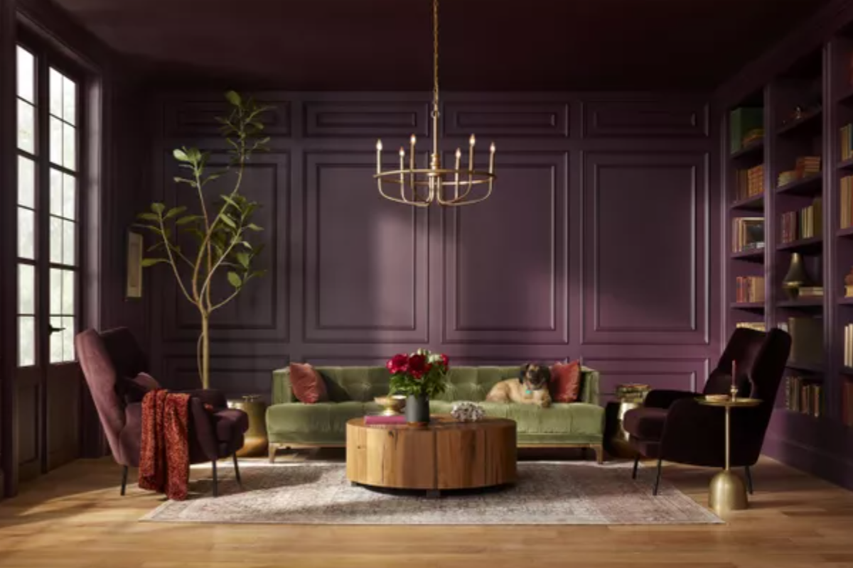 Dark plum wall paint for 2025 color of the year