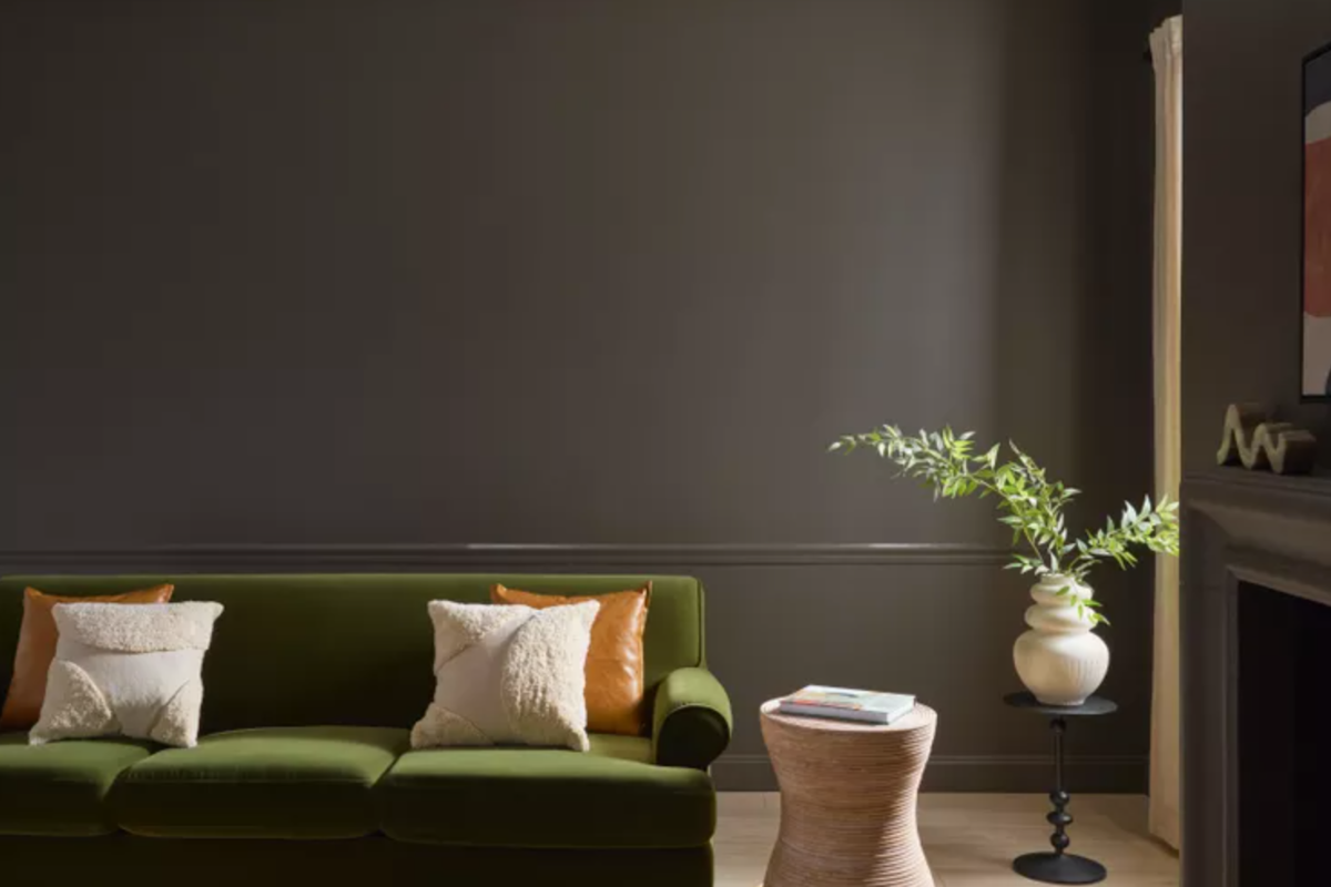 Soft chocolate brown wall paint for 2025 color of the year