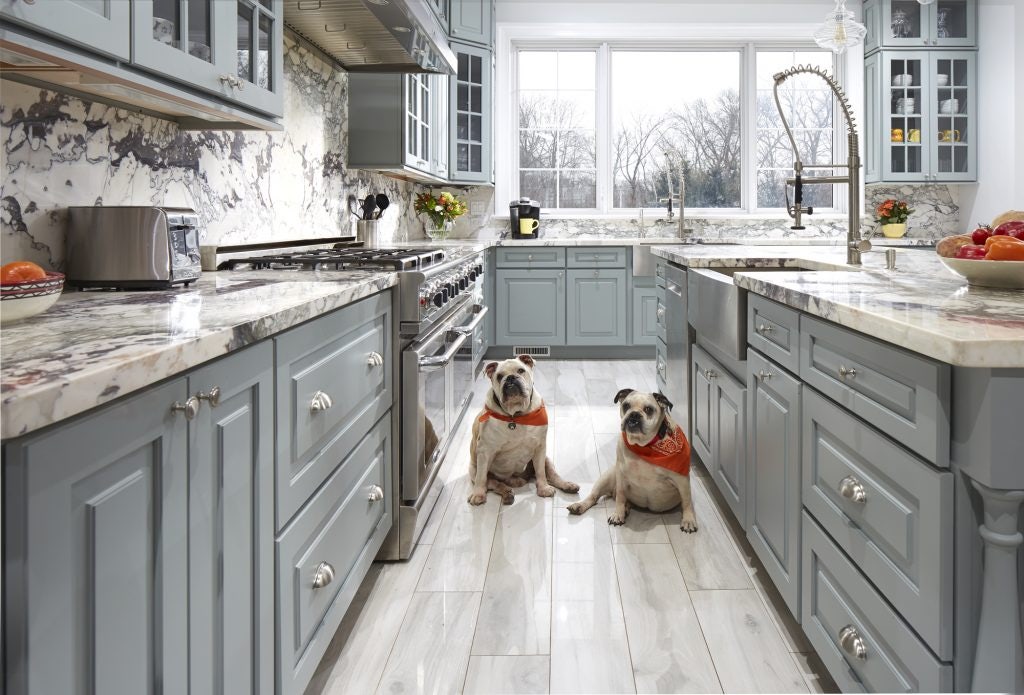 This kitchen is bulldog-approved! CliqStudios Decorative cabinets in Blue-gray.