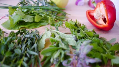 Top 5 Herbs To Grow in your Kitchen